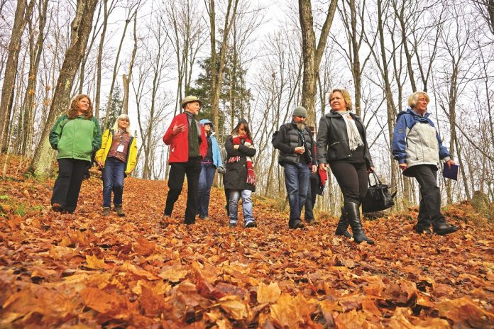 JQ-county provincial budget