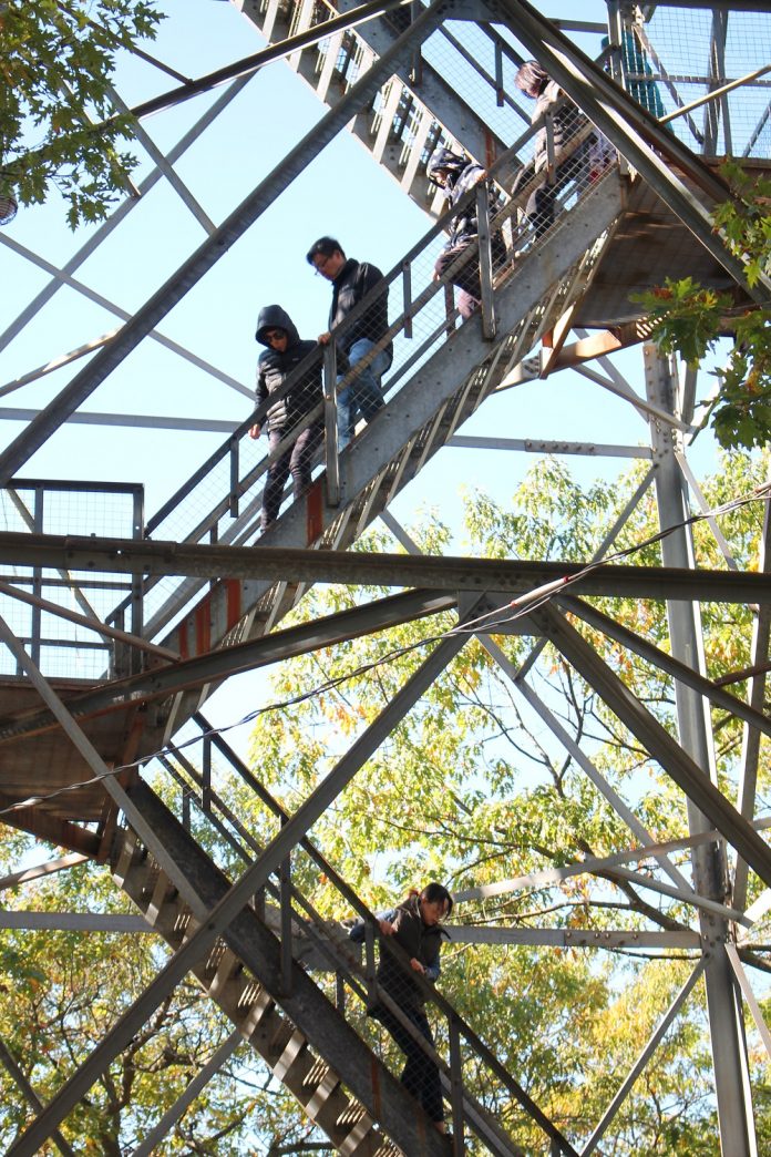 LG-AH for March 11 vertical