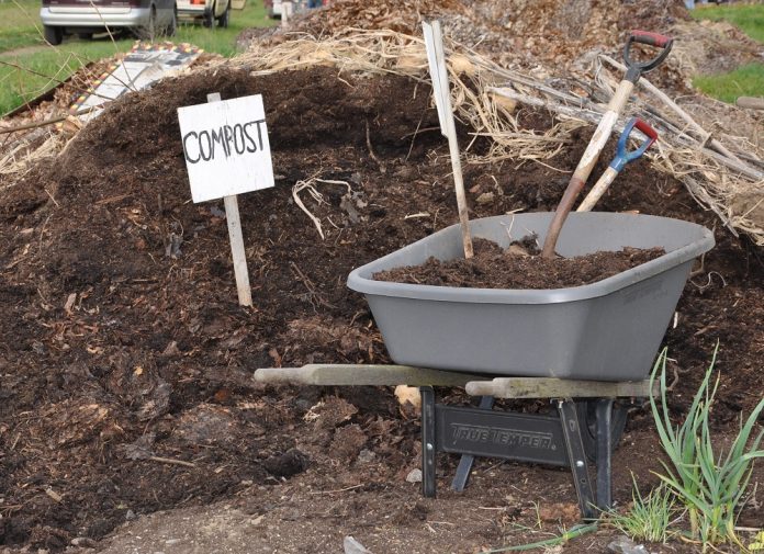 LG-composting at Abbey Gardens