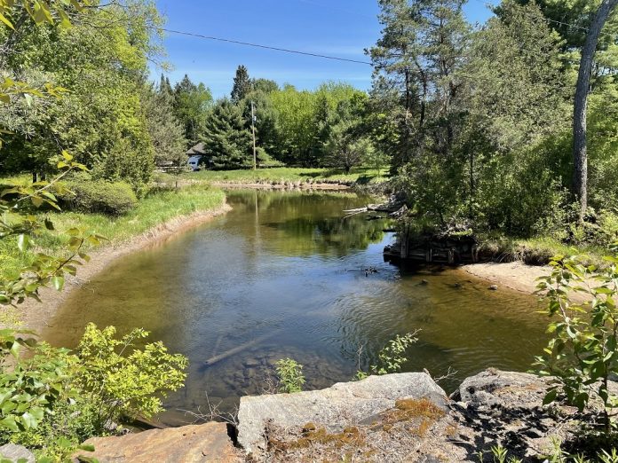 SG-low water levels-1