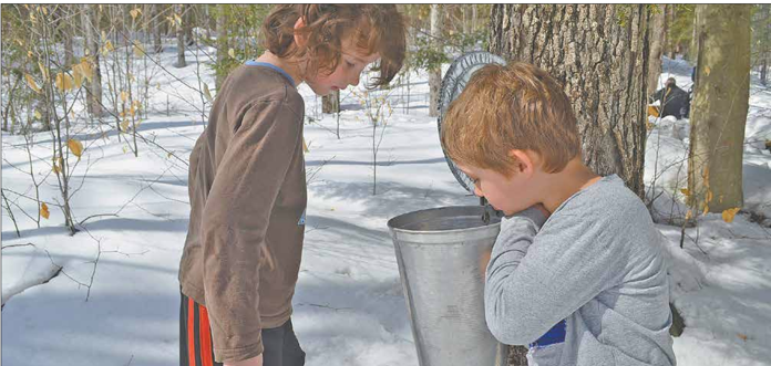 Screenshot 2025-04-03 110304