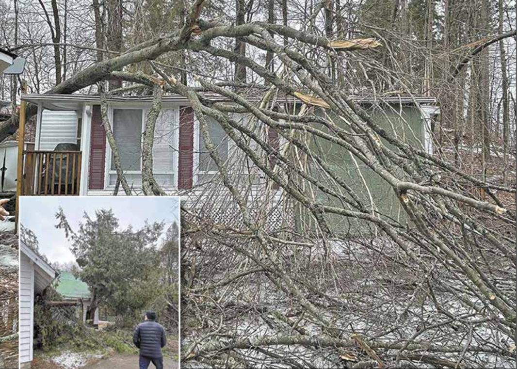 Screenshot 2025-04-10 095142