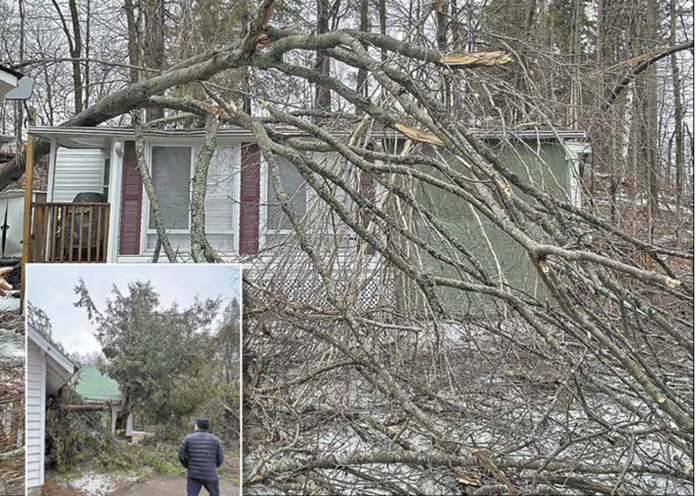 Screenshot 2025-04-10 095142