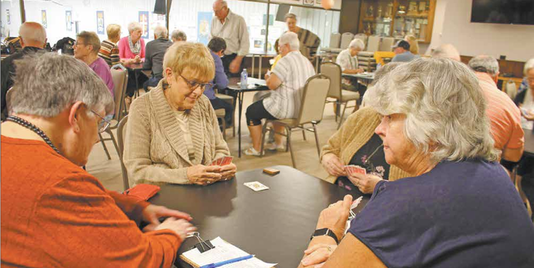 Screenshot 2025-05-15 101244