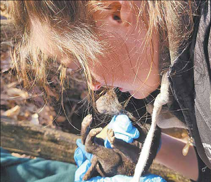 Screenshot 2025-05-15 102525