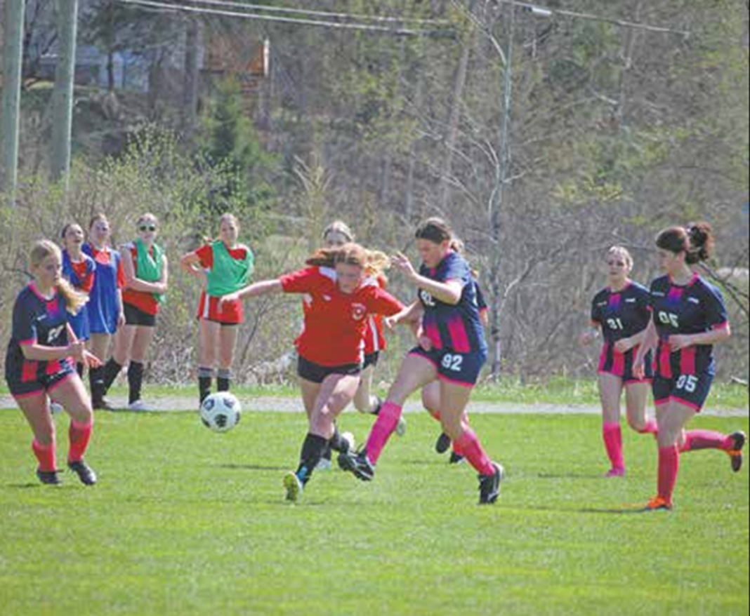 Screenshot 2025-05-15 104346