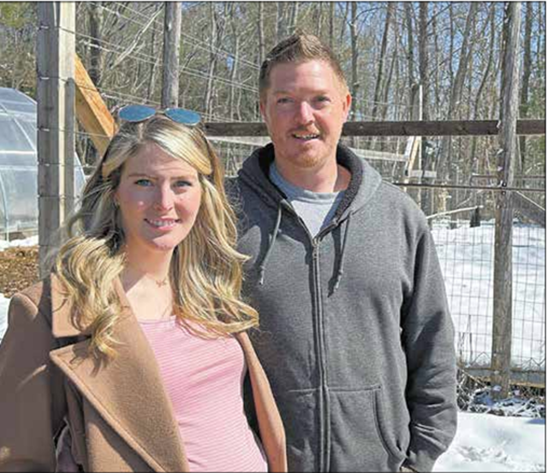 Screenshot 2025-05-29 105745