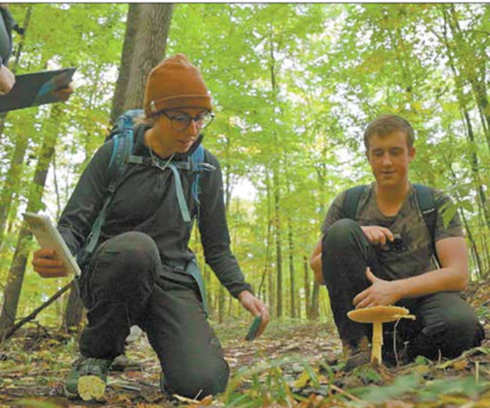 Screenshot 2025-06-19 110807