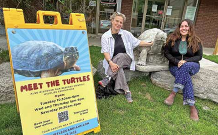 Screenshot 2025-06-26 095303