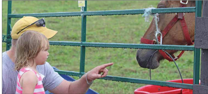 Screenshot 2025-08-14 094630