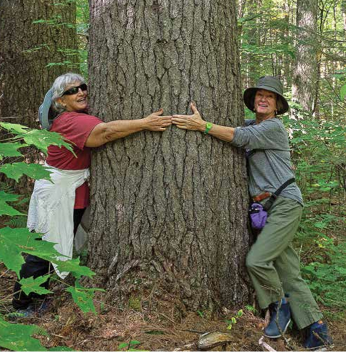 Screenshot 2025-09-18 095146