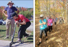 Walkthrough art at sculpture forest