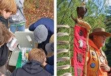 Two decades of soaking in learning