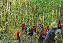 Tourism department says ‘quite a good summer’