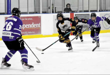 Leafs fall to Storm winds