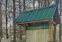 New-look Dahl back open after storm