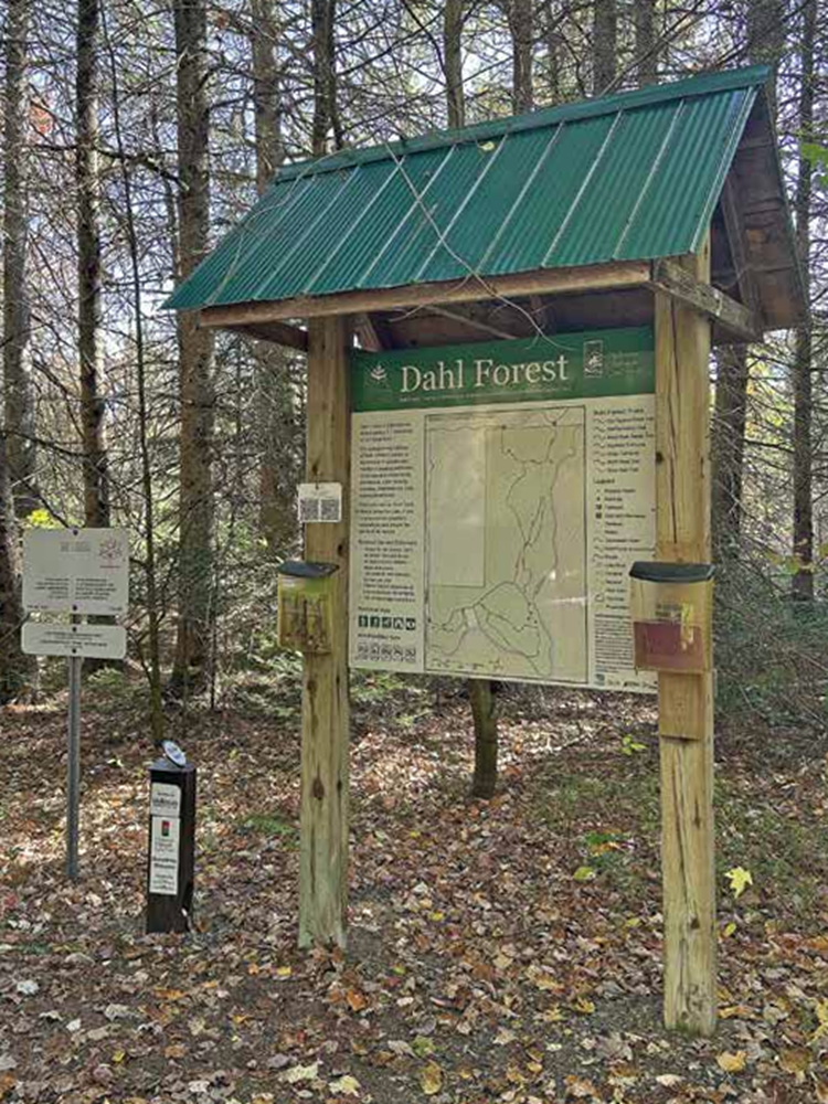 Screenshot 2025-10-30 095716