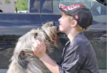 Dog shelters pitch plan to Minden Hills