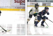 Silverstick finalists