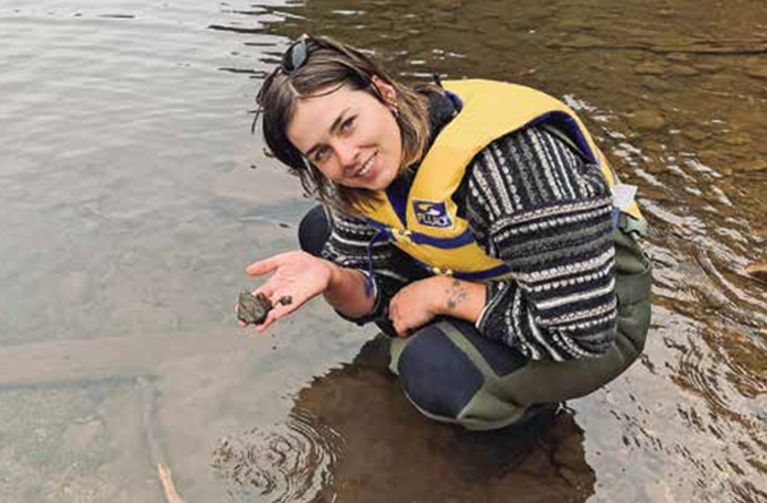 Screenshot 2025-11-20 095701