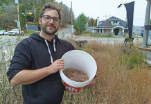 A seedy story with a happy ending