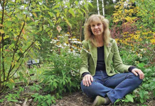 Dysart council ‘not environmental pirates’