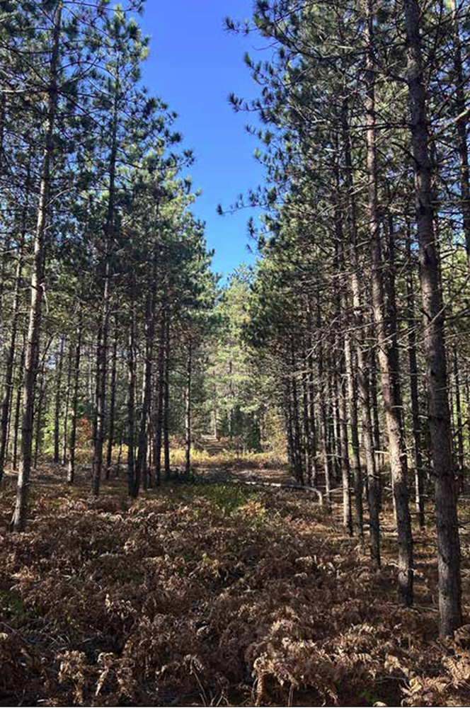 Screenshot 2025-12-11 105241