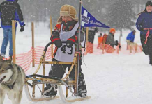 Mushers making return to Pinestone for dogsled derby