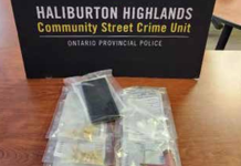 First drug bust of 2026 in Haliburton Highlands
