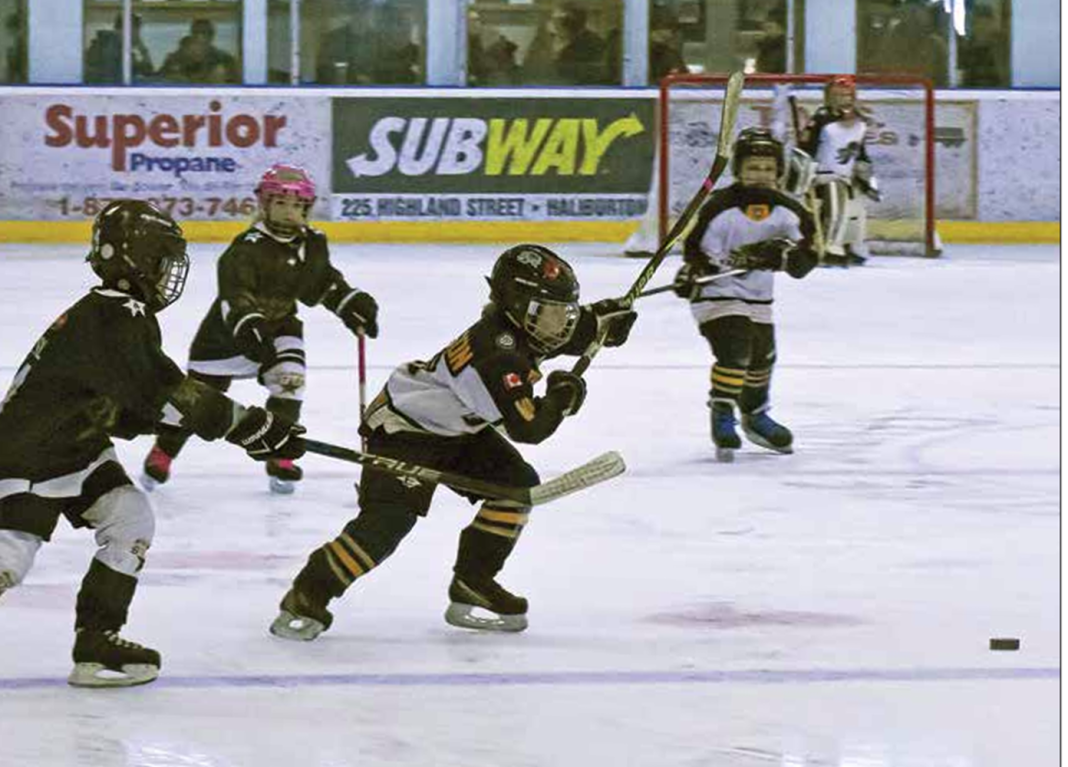 Screenshot 2026-01-29 100048