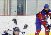 Huskies on the ropes