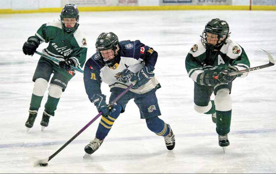 Screenshot 2026-03-20 094113