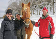 Horsing around in the snow