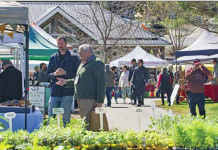 Farmers market ushers in summer
