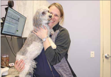 Animal clinic offers after-hours advice