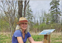Boardwalk tour explores ‘exploding’ nature