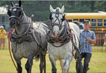 Fair returns with unstoppable spirit