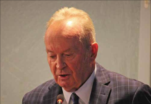McKechnie to step in as interim mayor