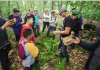 Abbey Gardens pivoting towards wellness