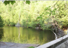 Minden buys land on Mountain Lake