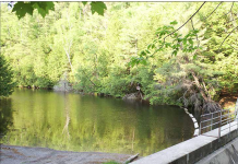 Minden buys land on Mountain Lake