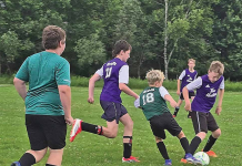 Player development taking shape at halfway stage