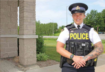 OPP engaging public on strategic plan