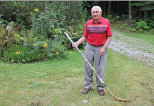 Salvatori a great Haliburton story