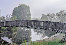 Building bridges in Head Lake Park