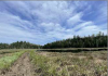 HE rescinds trail plan