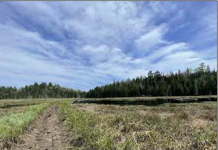 HE rescinds trail plan